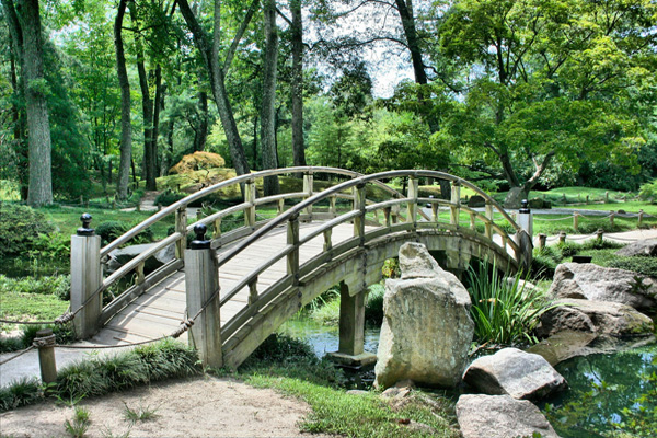Diseño Web Jardinería Paisajismo